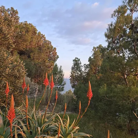 Casa Jurmala Sanremo